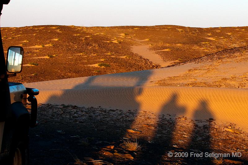 20090603_182458 D300 X1.jpg - Shadows in the desert